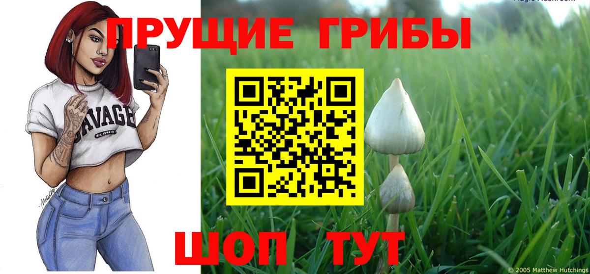 Псилоцибиновые грибы MAGIC MUSHROOMS Киселёвск