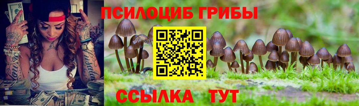 Псилоцибиновые грибы MAGIC MUSHROOMS  Вход с VPN  Псилоцибиновые грибы ЛСД  Киселёвск 